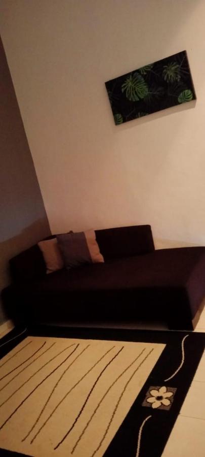 Belebar Studio Room Taman Negara Pahang Malaysia 쿠알라타한 외부 사진